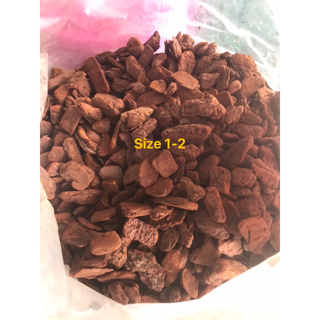 2kg Vỏ thông trồng lan loại đẹp Đã Xử Lý size 1-2 cm