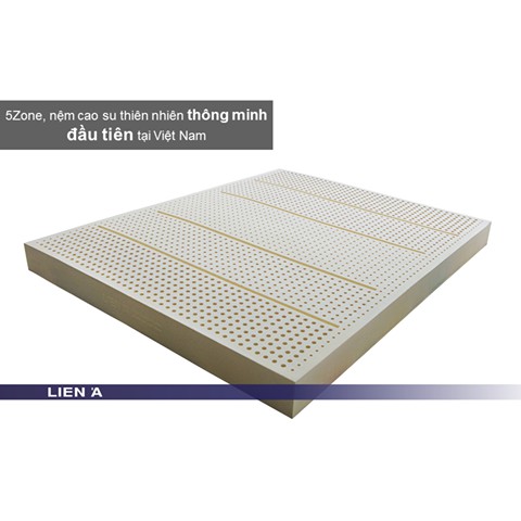 Đệm Cao Su Liên Á 5Zone- Bảo hành 12 năm