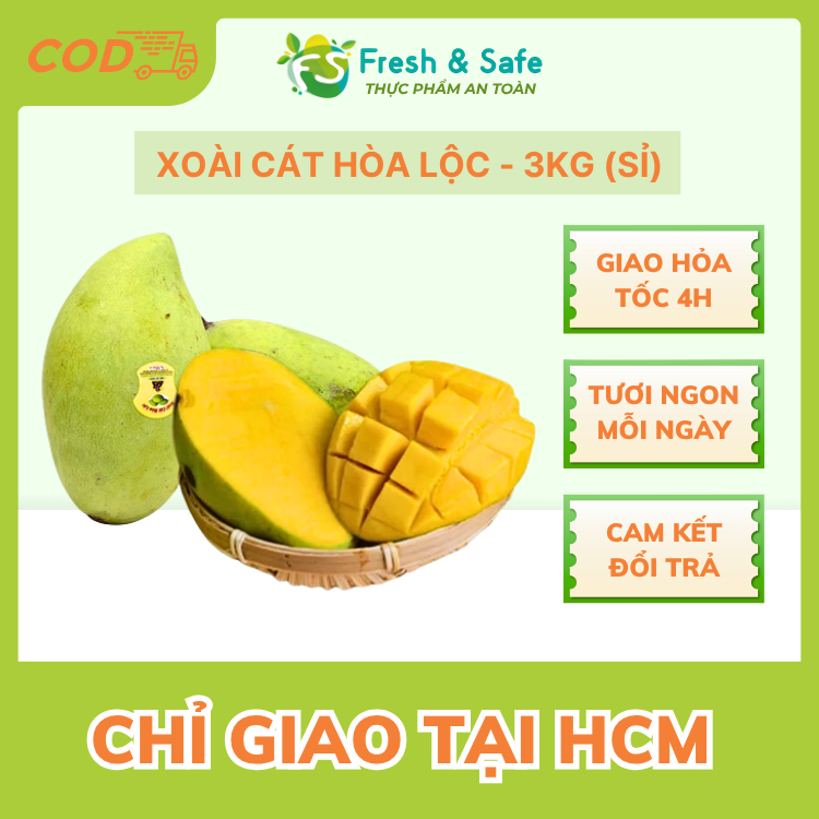 [ Chỉ Giao HCM ] Xoài cát Hoà Lộc - 3kg