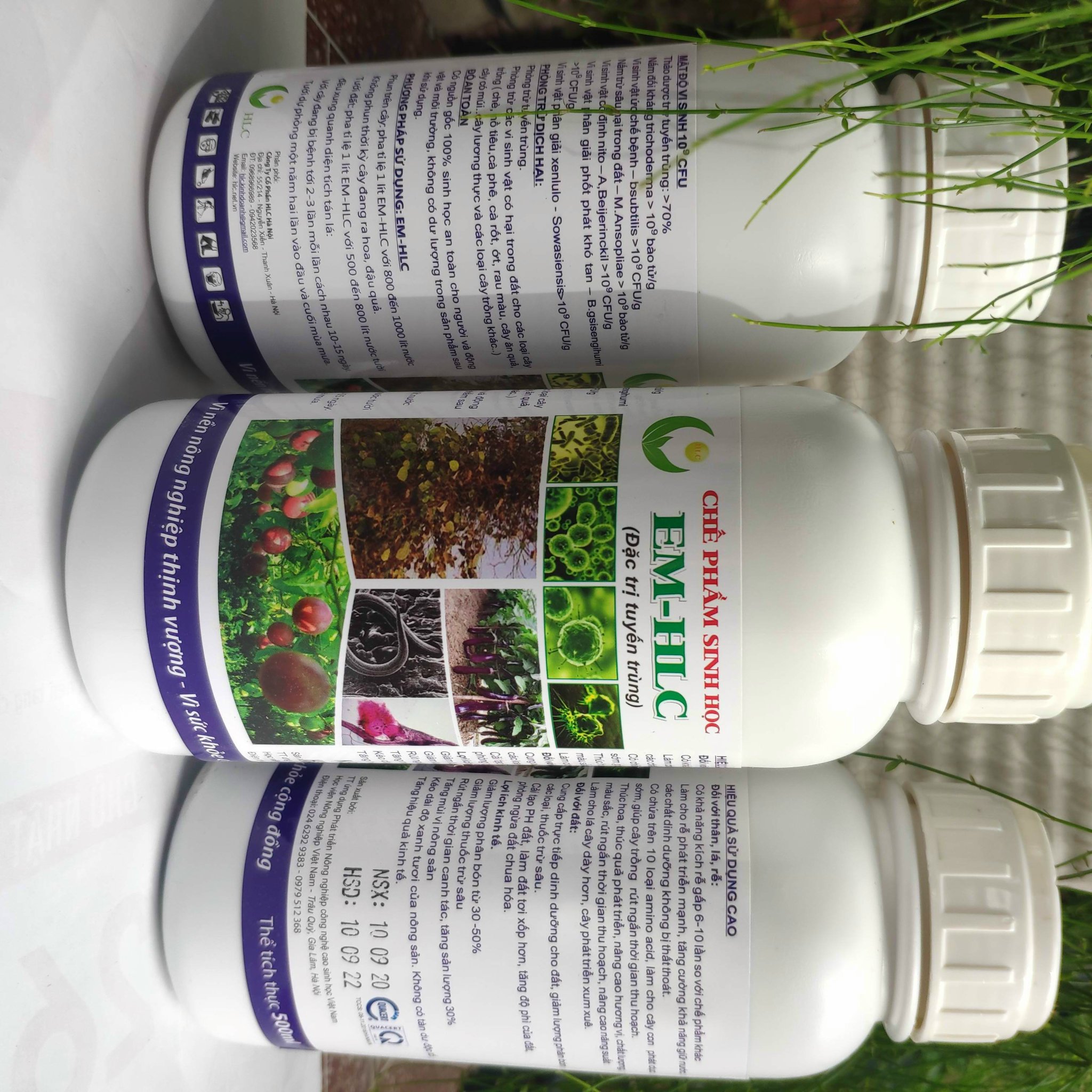 EM-HLC Tuyến trùng