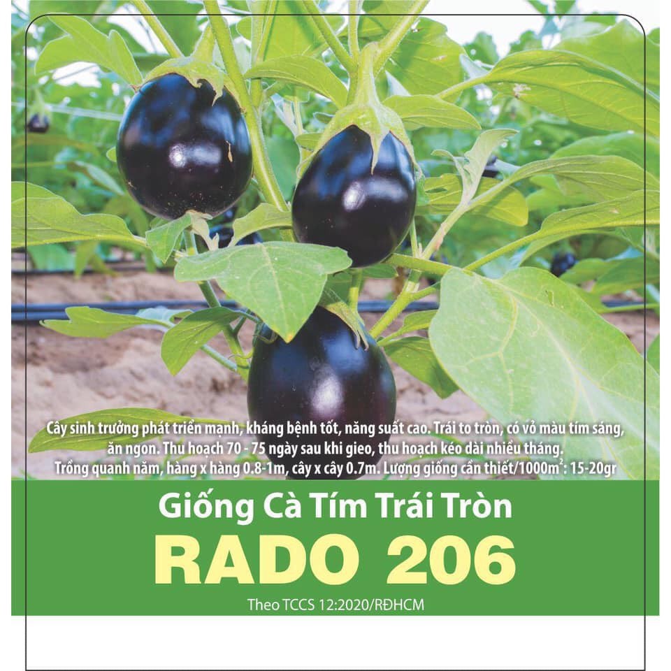 Hạt giống rd cà tím trái tròn rado 206 gói 0.5gr