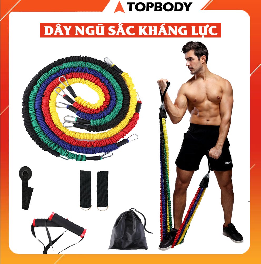 Bộ 5 dây ngũ sắc tập full body tại nhà - dụng cụ tập gym đa năng TOPBODY - T3 - D5MAU02