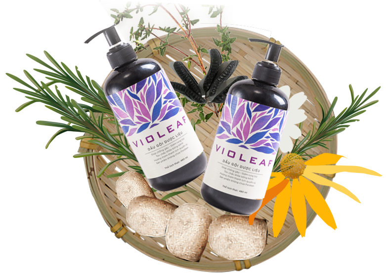 Dầu gội dược liệu Violeaf  - Thái Dương - 480ml