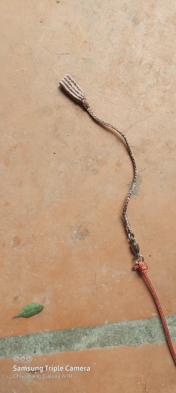1 dây xích gà rừng