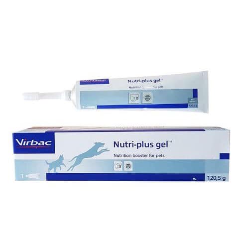 Gel dinh dưỡng cao cấp thú cưng