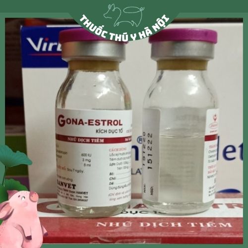 Th uốc thú y gona estrol