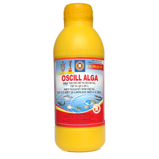 Oscill alga - t.rị ng.oại k.ý si.nh t.rùng
