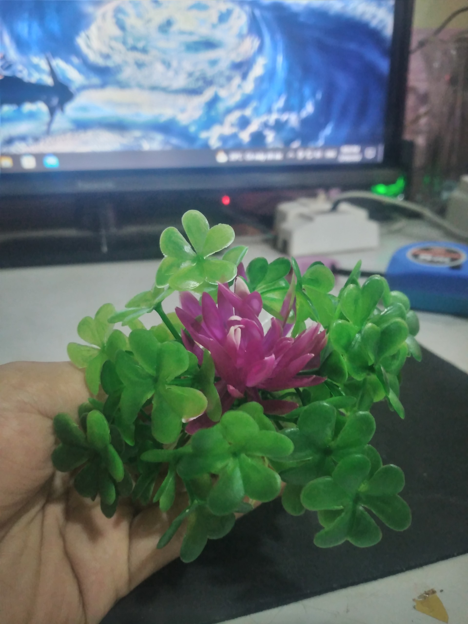Tiểu cảnh trang trí bể cá cảnh mini mẫu mới siêu đẹp, siêu xịn xò