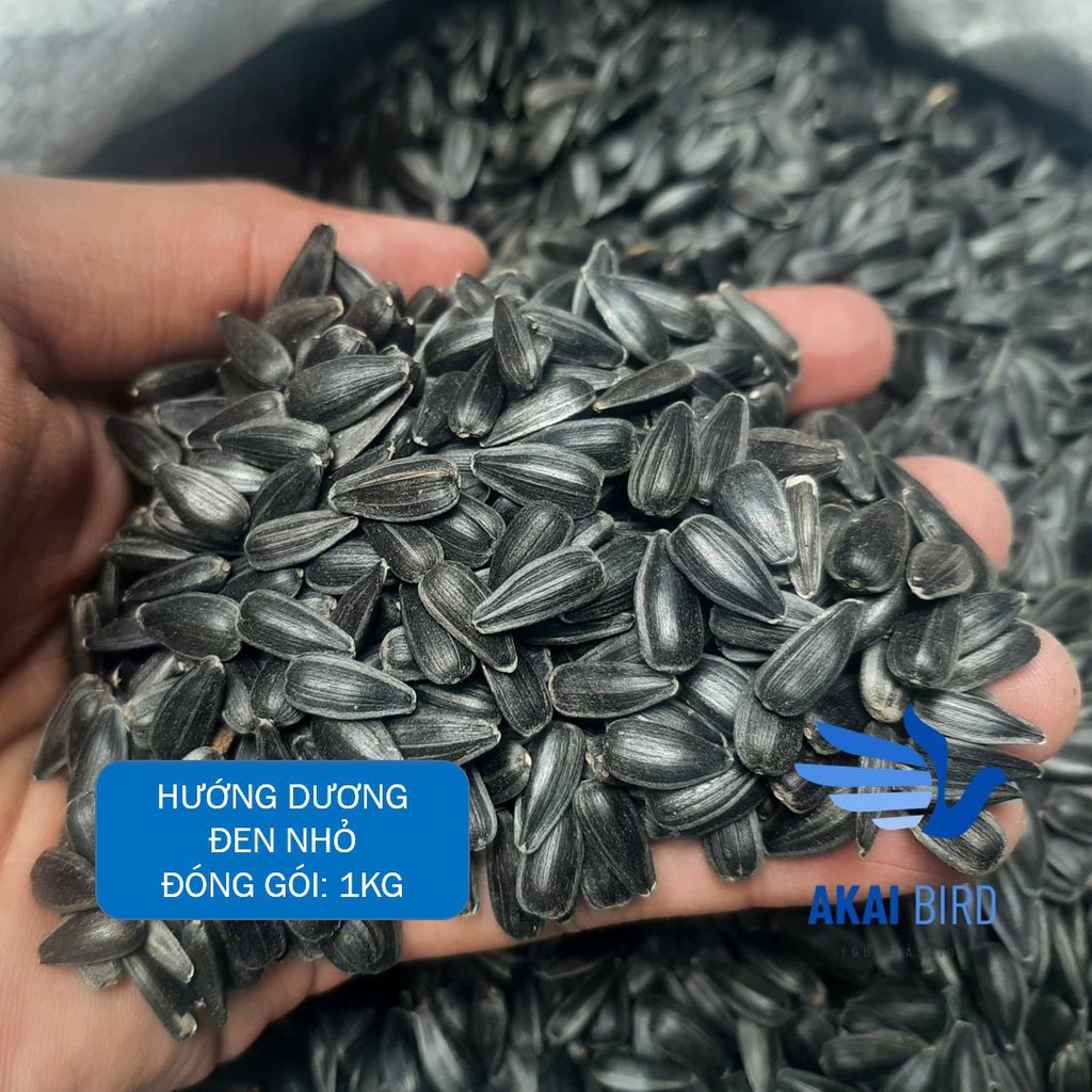Hướng dương size nhỏ cho vẹt, chim cảnh, hamster, sóc....