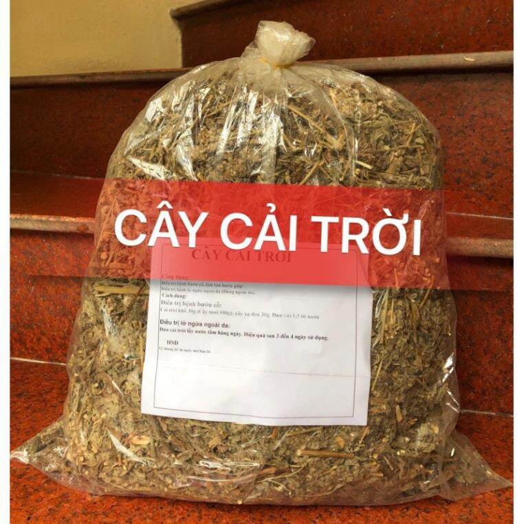 1kg cây cải trời khô phòng chống bướu cổ.
