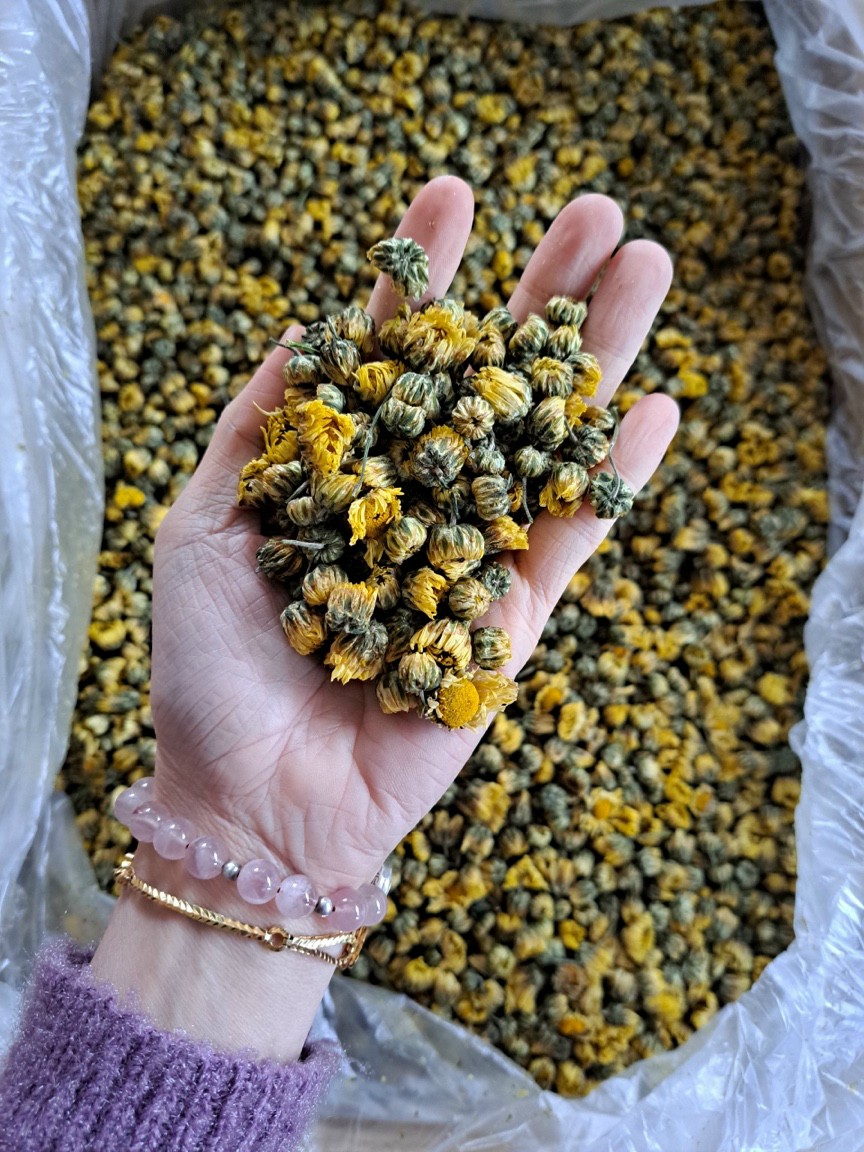 Trà Hoa cúc kim cuong-SẤY LANH -100g