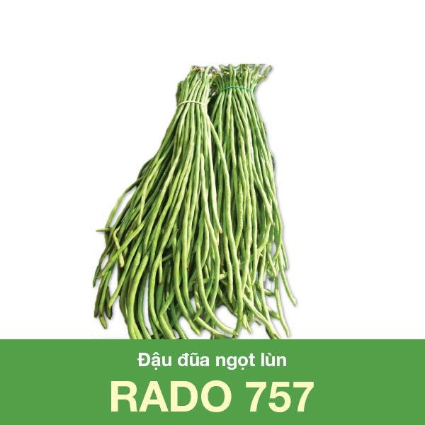 [HCM]Đậu đũa ngọt lùn Rado 757_Gói 20gram DỄ TRỒNG .