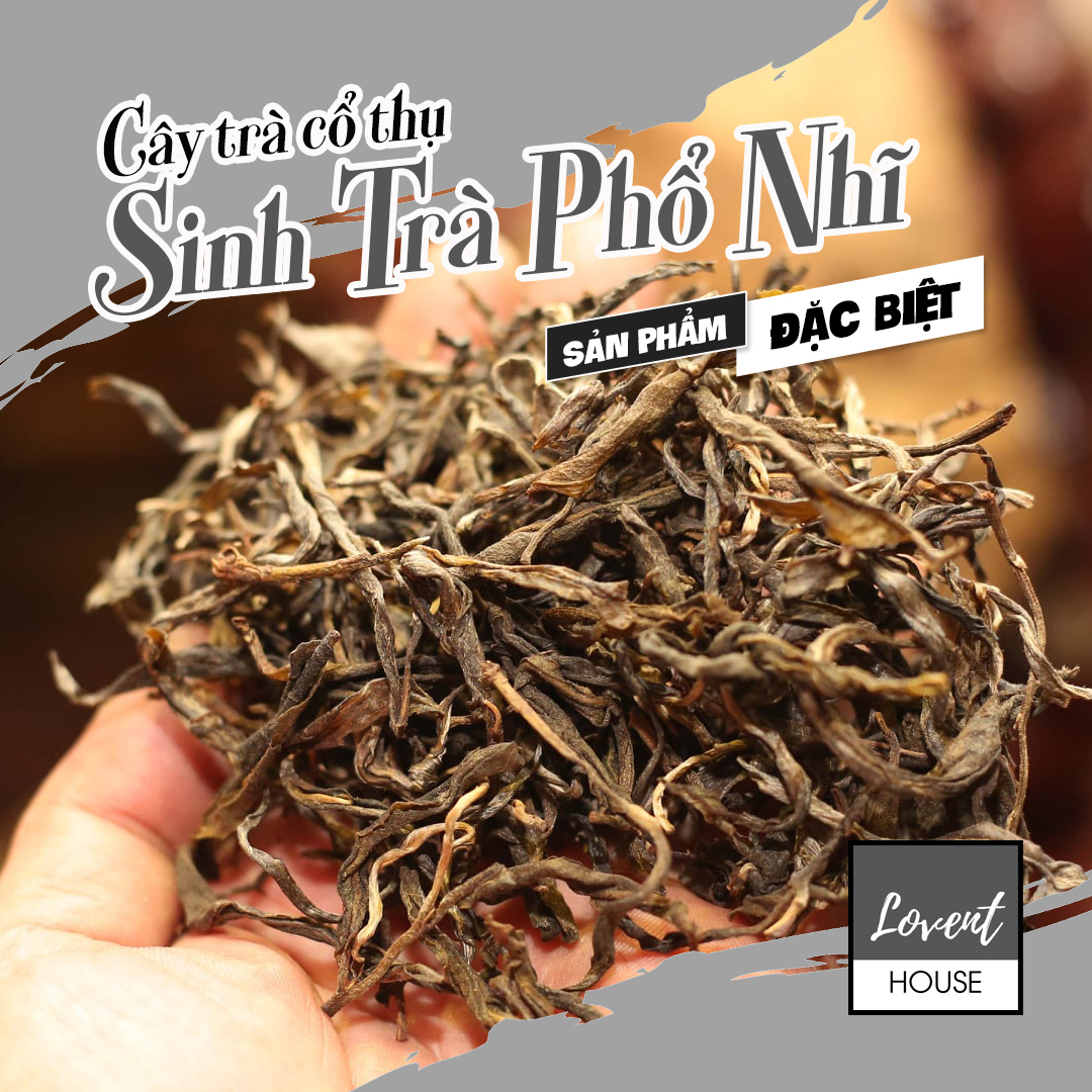 100g SINH TRÀ PHỔ NHĨ CỔ THỤ - trà sống Phổ Nhĩ Lá rời - PUERH - [Lovent House]