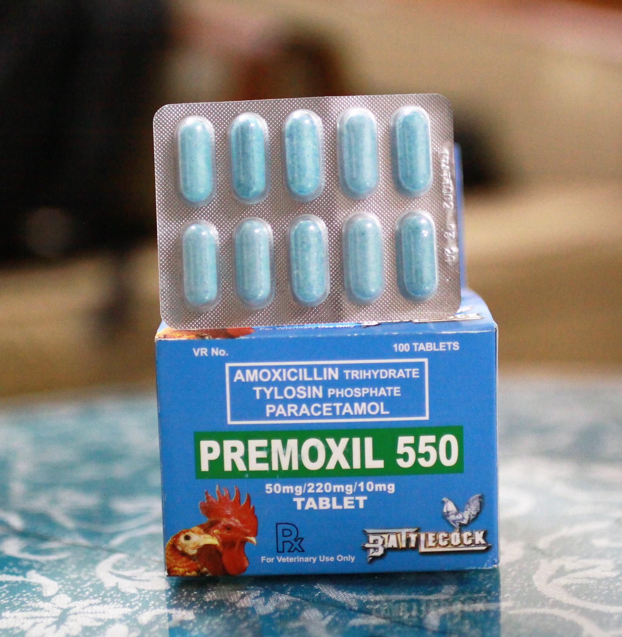 Premoxil 550 - hộp 100 viên