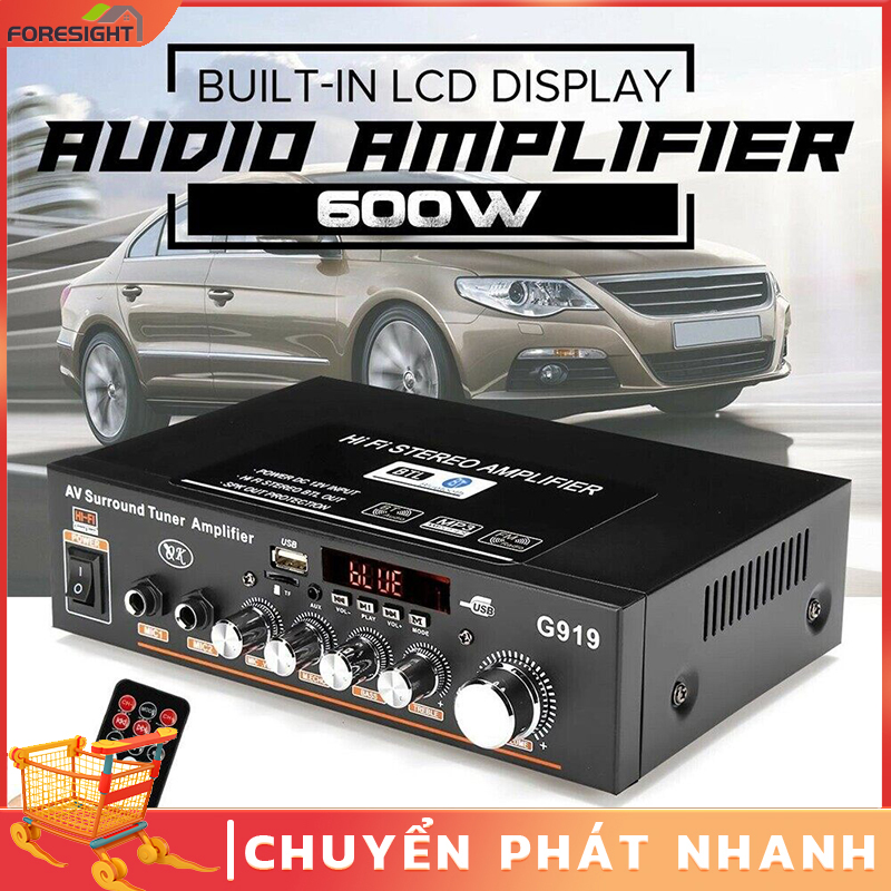 600W 220V 12V Protable Amplifier Mini HiFi Stereo Audio Power amplifier