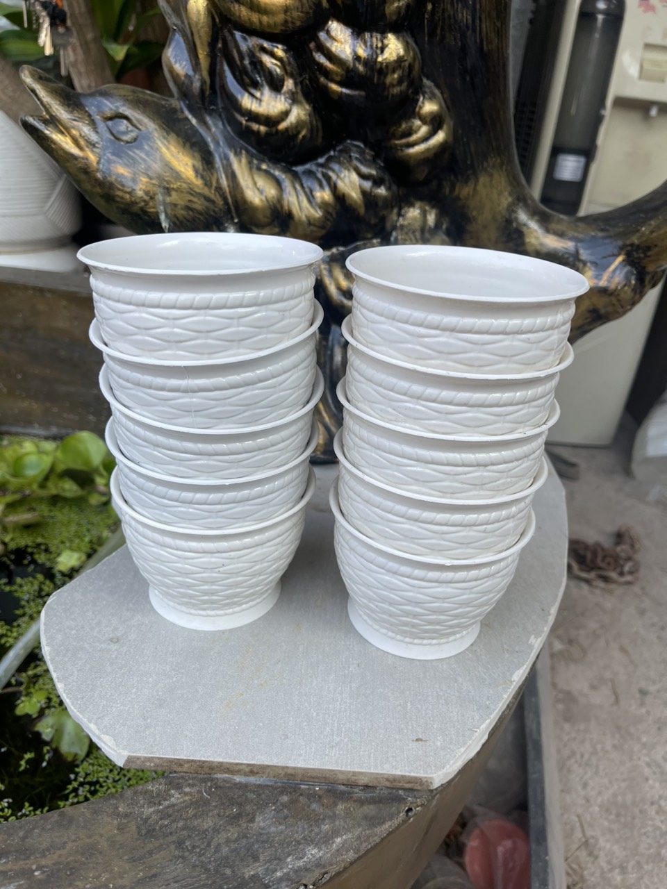 Combo 20 chậu tròn đường kính 11 cm, cao 8 cm màu trắng