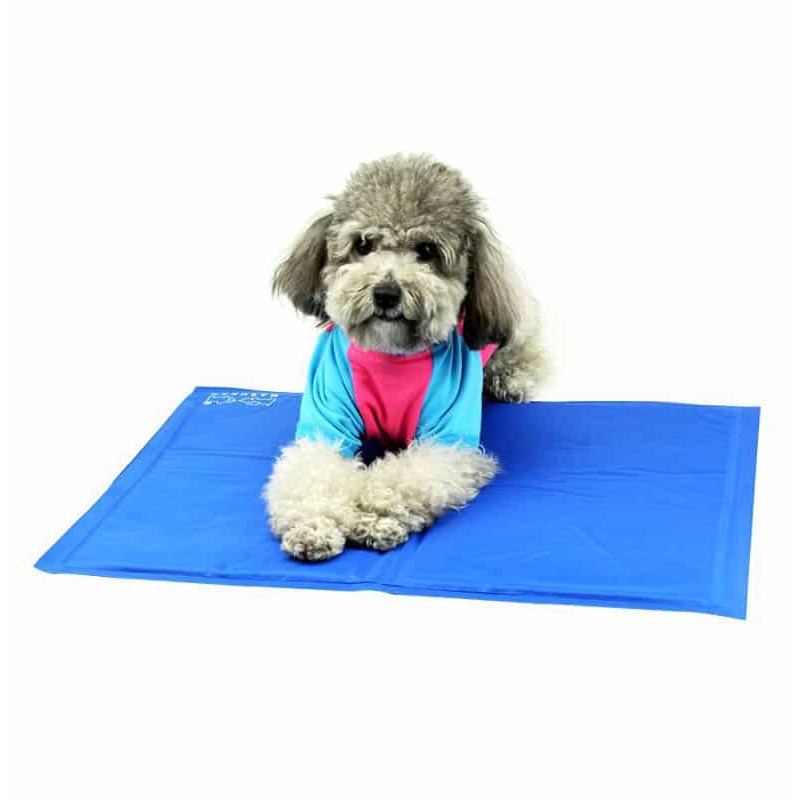 Đệm nước nệm nước thảm nước đa năng cho chó mèo sz l 90*45cm