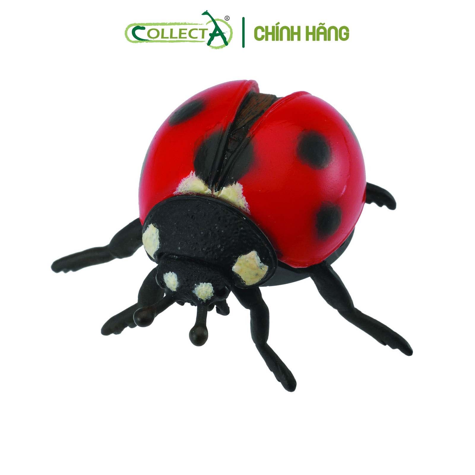 Đồ chơi mô hình động vật CollectA Bọ Rùa - Ladybird