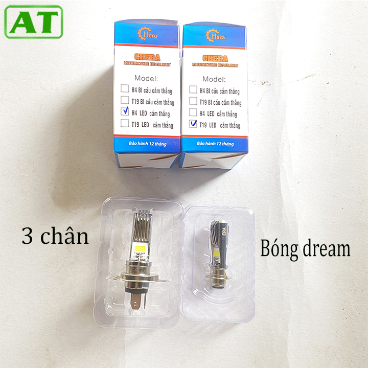 Bóng đèn pha led Chera cắm như bóng zin