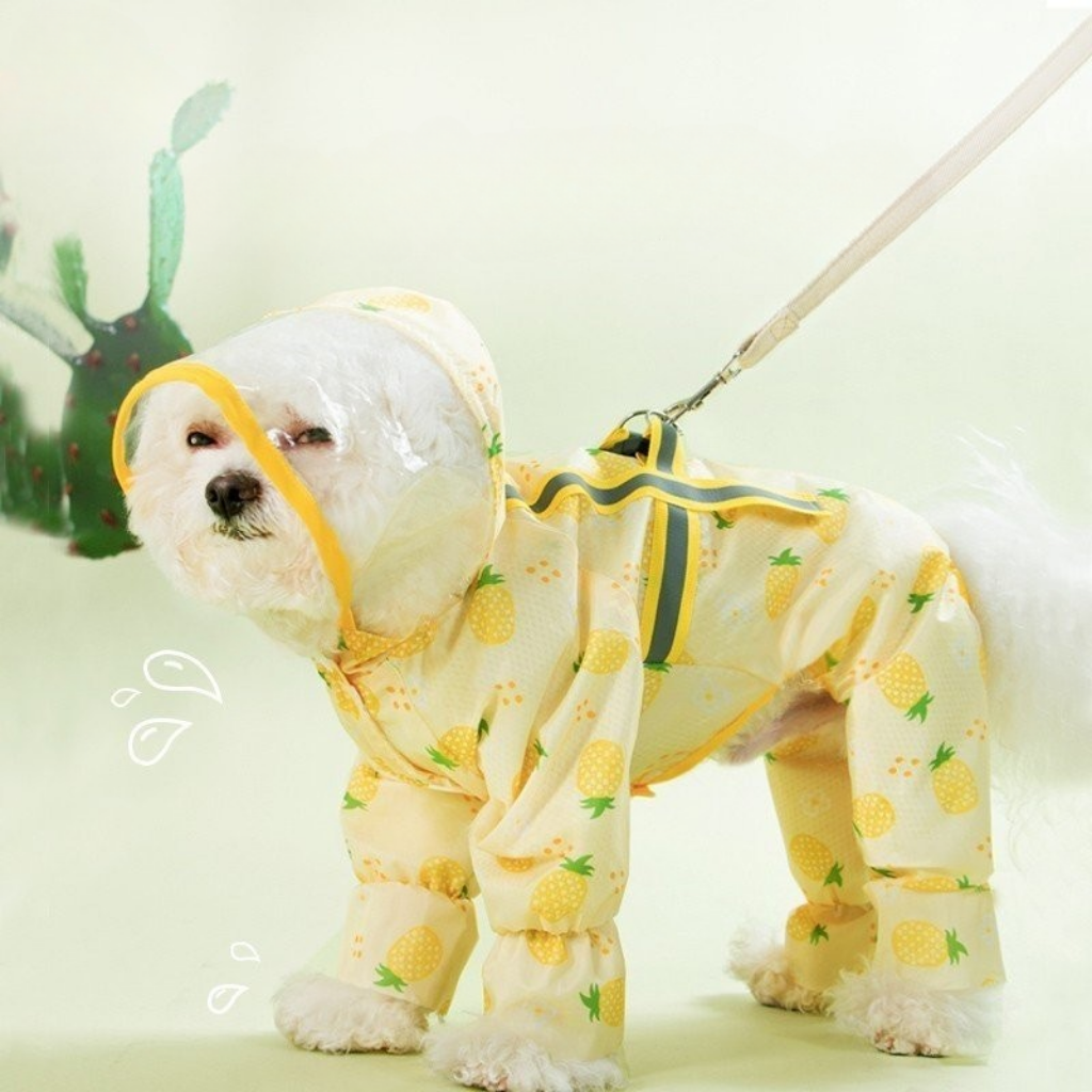 Áo mưa cho chó Hipipet chống thấm nước 2 lớp dày dặn dễ thương có viền