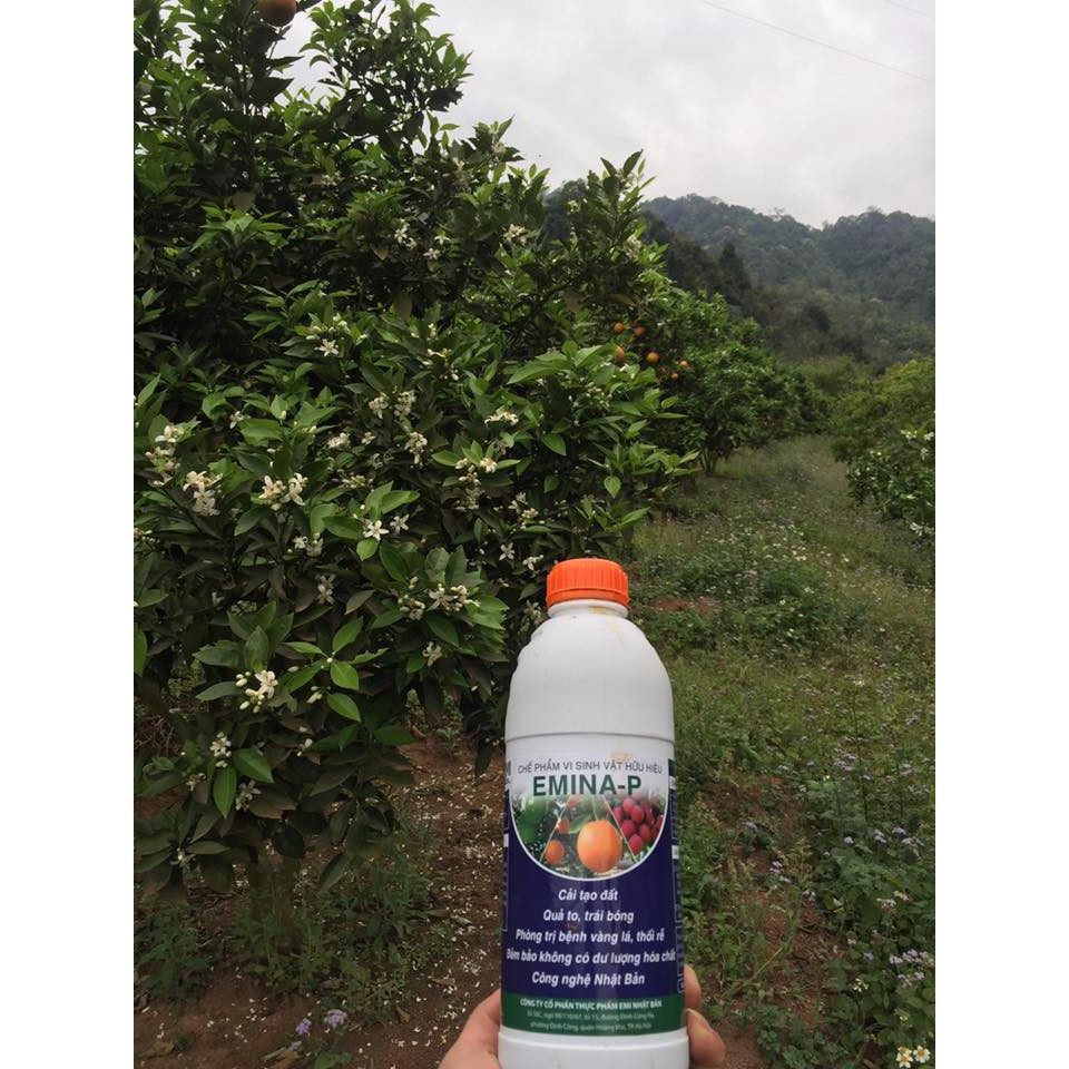 Phân vi sinh Emina phun lá trái-chai 1 lít cam kết hàng đúng mô tả chất lượng đảm bảo an toàn đến sức khỏe người sử dụng