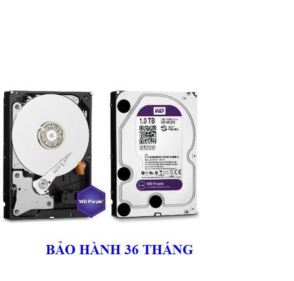 Ổ cứng hdd western 1tb chuyên dùng cho hệ thống camera