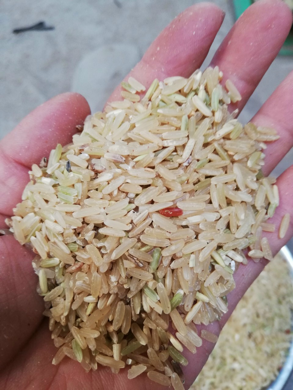 Gạo lứt trắng sạch trồng vuông tôm - Gạo lứt muối mè Phương Y