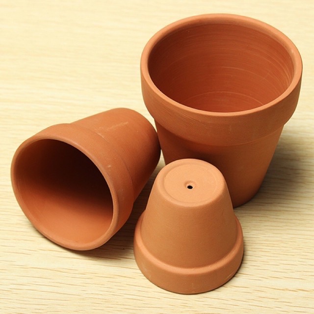 CHẬU NUNG TRỒNG SEN ĐÁ SIZE 5x5 7x7 9x9