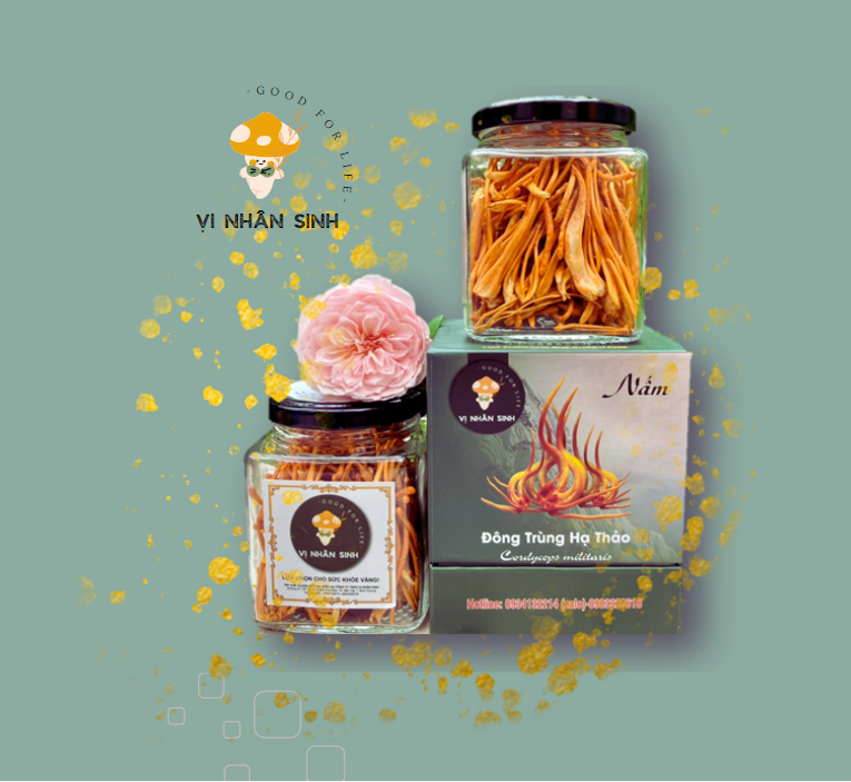 Đông trùng hạ thảo khô 10gr loại 1