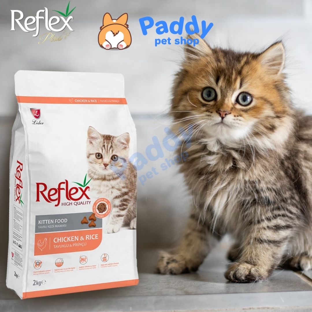Hạt Reflex Kitten Cho Mèo Con