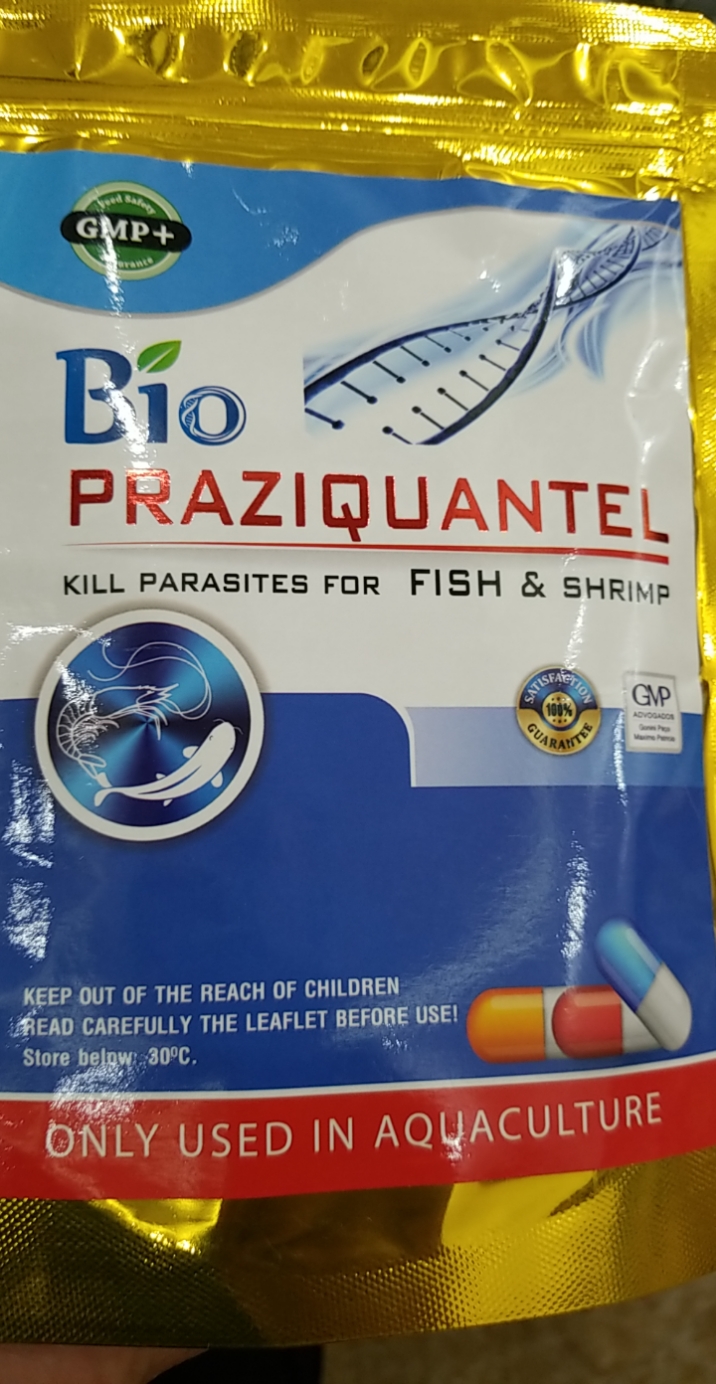 Chế phẩm xử lý nội ký sinh trùng cho cá Biopraziquantel