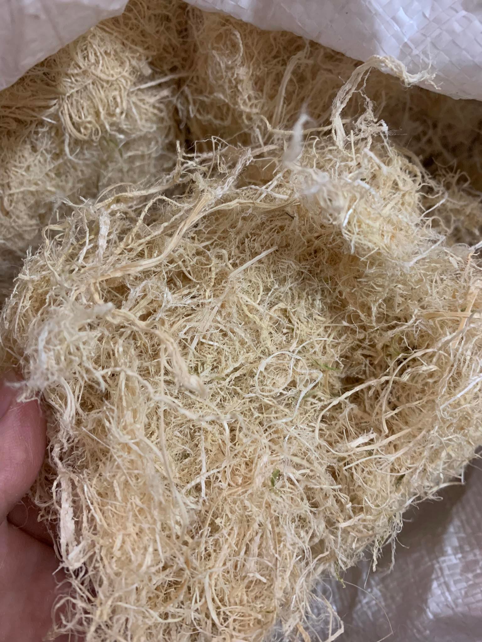 Rác, tre bào lót tổ cho chim yến, finch, manh manh... 100g