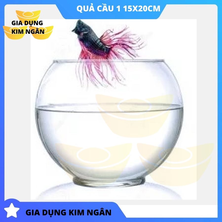 Bể cá thủy tinh lớn có bán kèm sỏi 7 màu quả cầu 1 hồ cá thủy tinh để bàn phong thủy mini KN-QC1