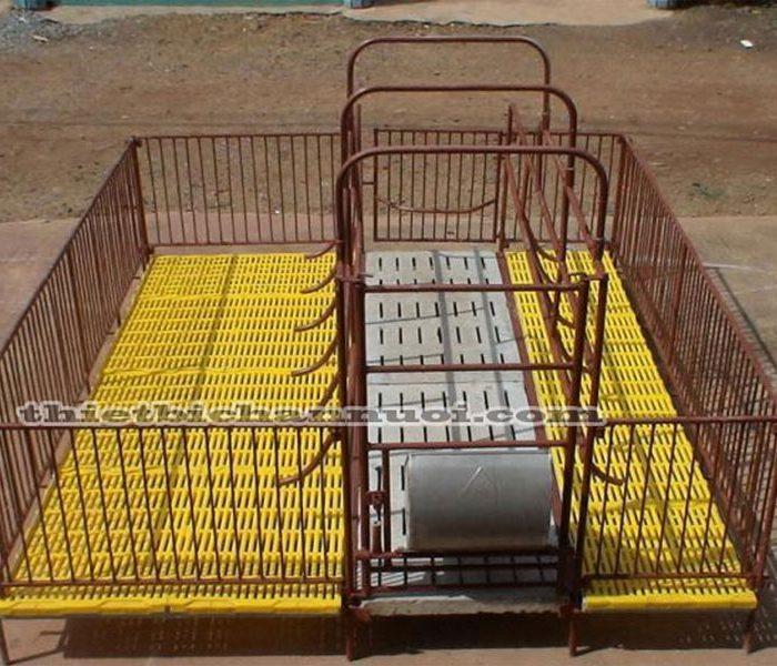 COMBO 5 SÀN NHỰA LÓT CHUỒNG CHÓ-SÀN NHỰA LÓT-TẤM LÓT SÀN