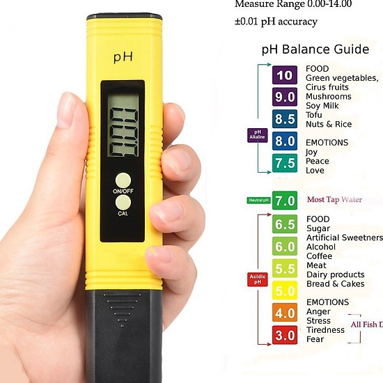 Bút đo độ ph, dụng cụ đo độ ph, máy đo ph loại 1 có điều chỉnh