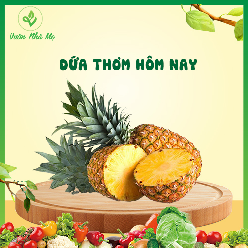 [Giao nội thành Hà Nội] Qủa dứa tươi, quả thơm Vườn Nhà Mẹ - 1kg khóm tươi - Hoa quả tươi, sạch, chuẩn VietGap