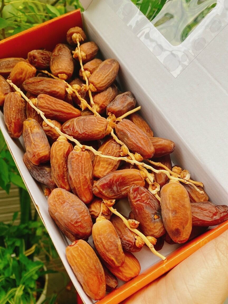 Chà Là Nguyên Cành Deglet Nour Israel (Mẫu Mới 2021)[ GIAO HÀNG NHANH 4h HCM]