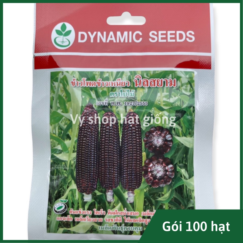 Hạt giống ngô nếp tím Thái Lan gói 30 hạt