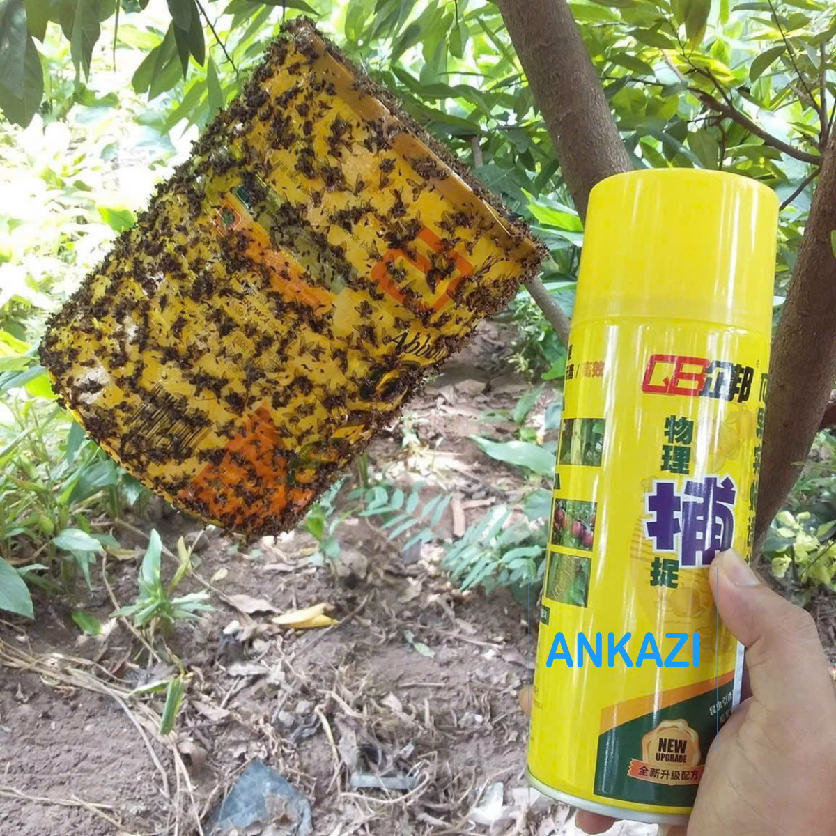 Keo xịt Ruồi vàng thân thiện với môi trường Ankazi.