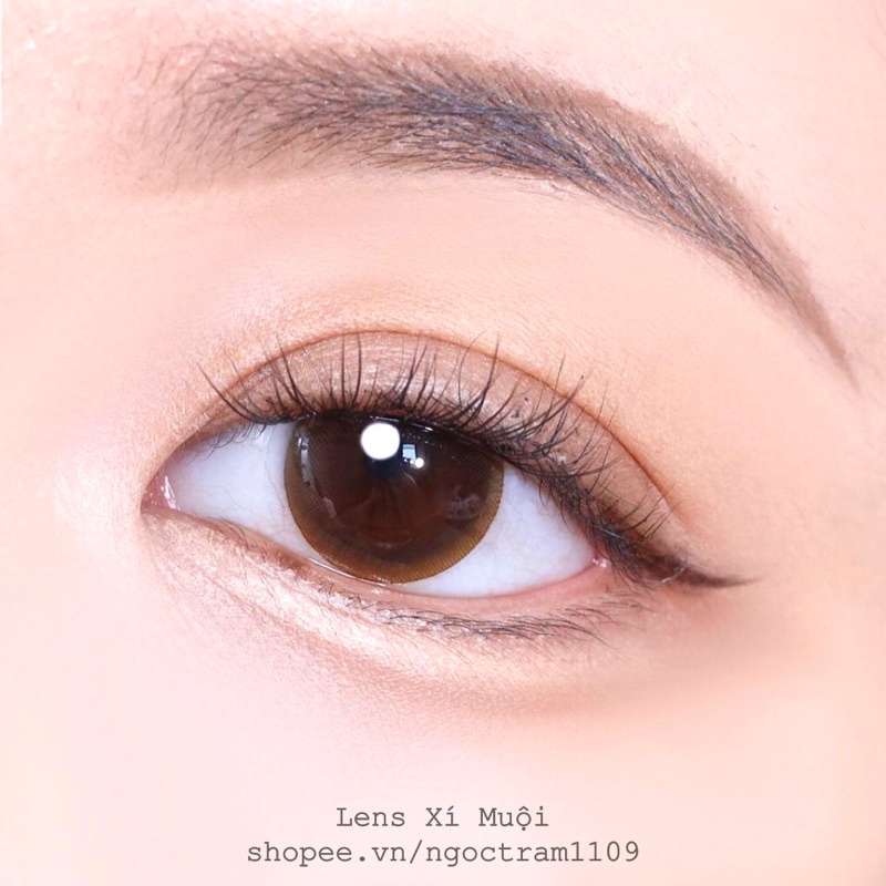 Lens nâu choco giãn vừa size 14.2mm có độ cận