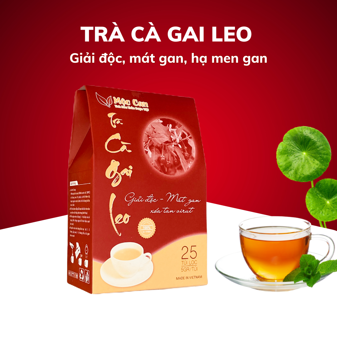 Trà cà gai leo mộc can hộp 25 túi lọc