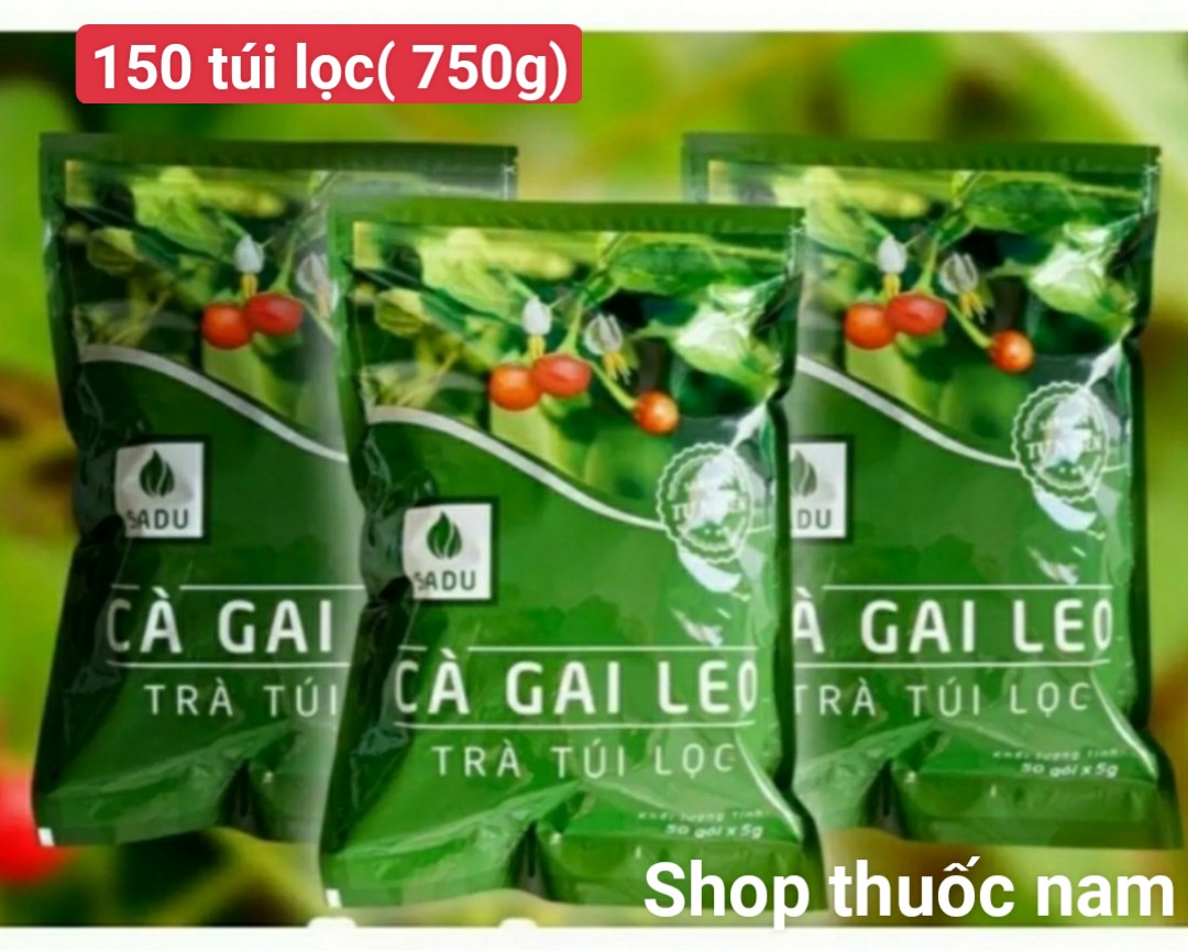 Trà thải độc gan-trà túi lọc cà gai leo sadu 3 bịch