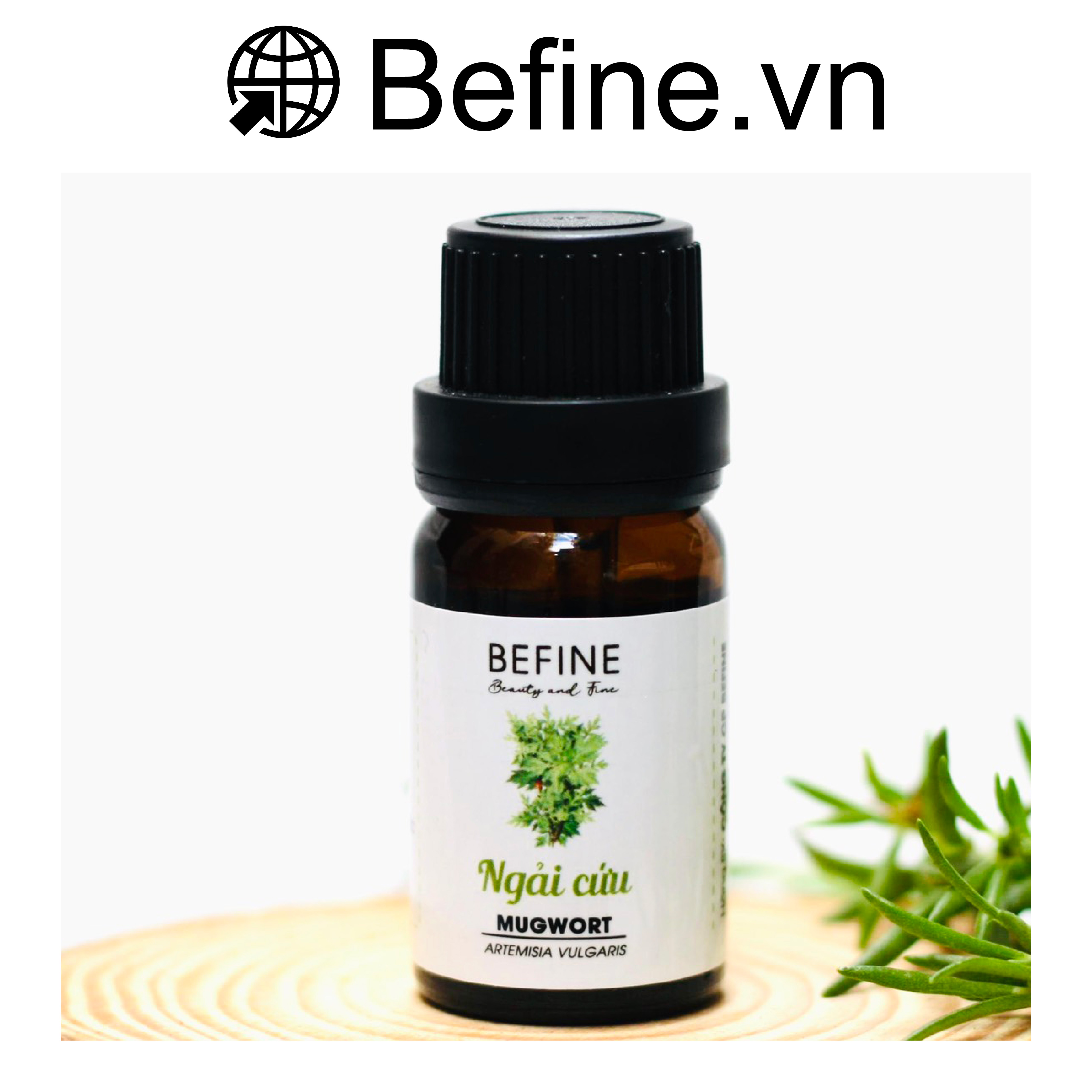 Tinh Dầu Ngải Cứu Befine