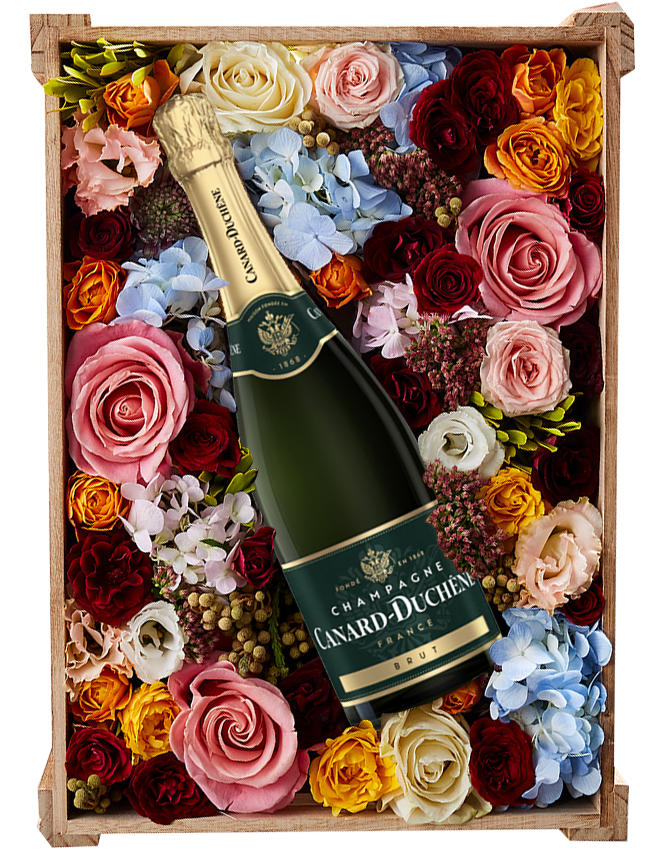 Hộp Quà Tặng Champagne Sang Trọng Cho Những Dịp Đặc Biệt