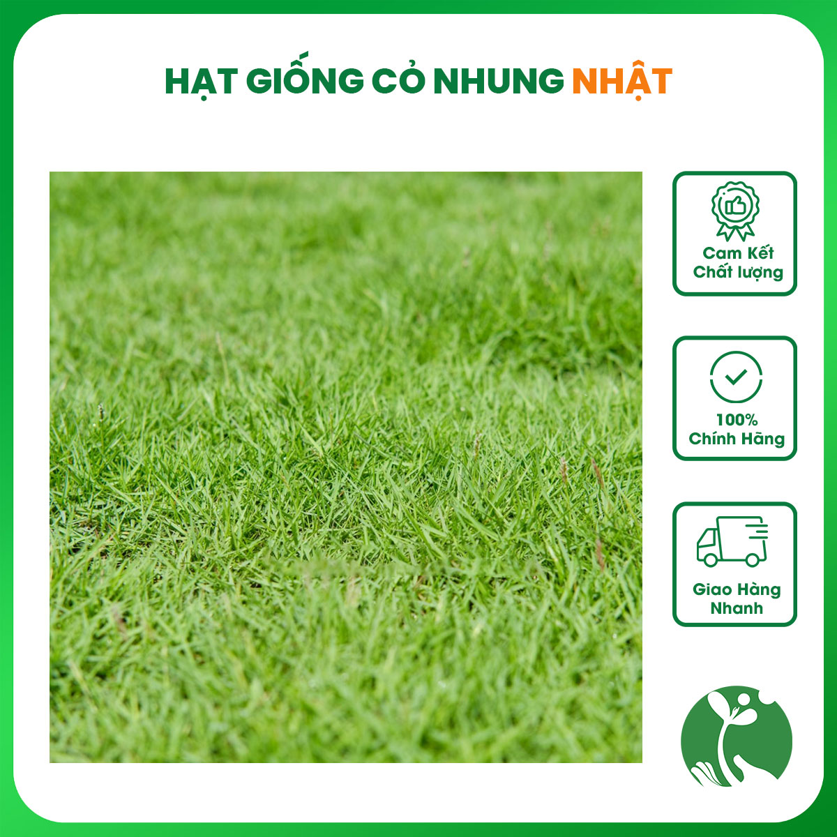 Hạt giống cỏ Nhung (gói 100gr) trồng thảm sân vườn, công viên, bãi đỗ xe