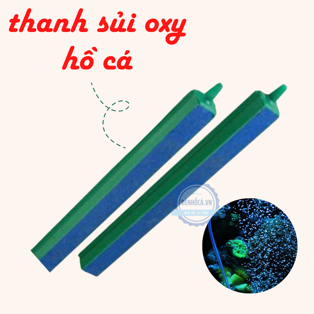 Thanh sủi oxy hồ cá