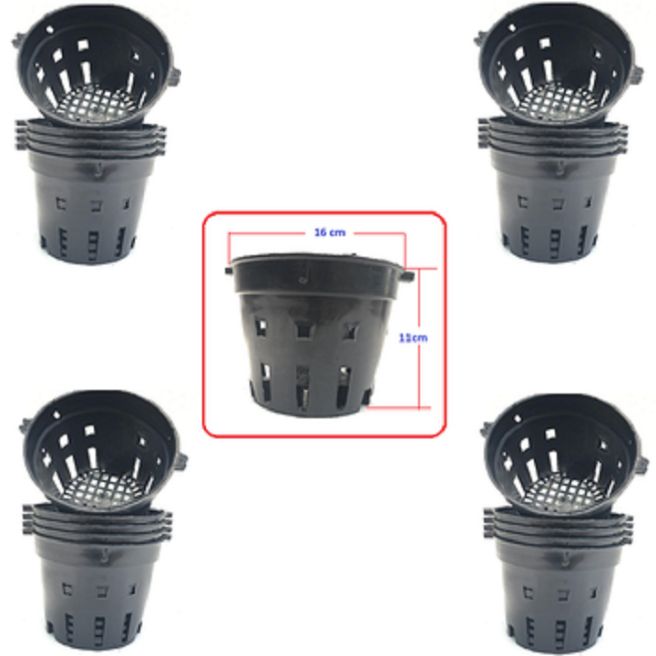 Compo 5 chậu nhựa trồng lan f16