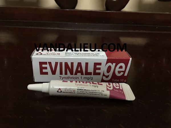Gel bôi ngoài da evinale gel 10g