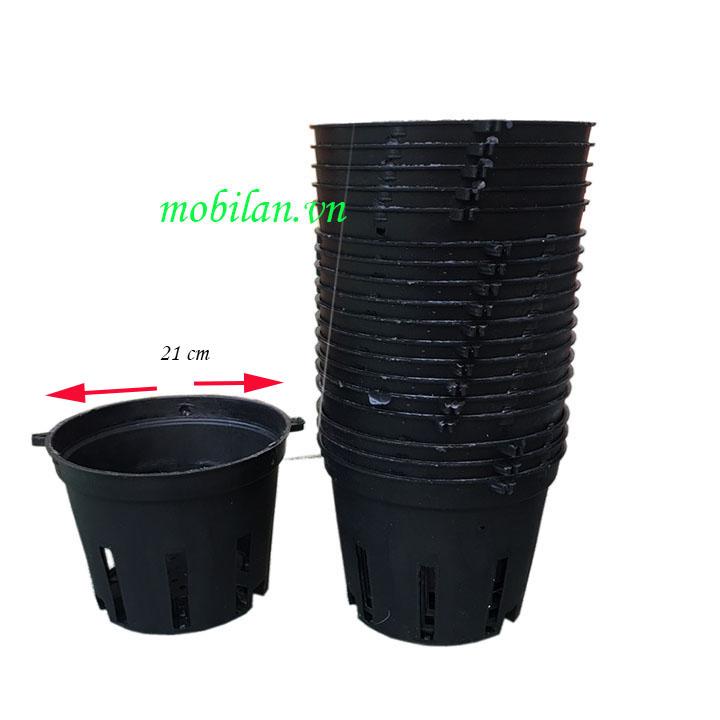 Chậu nhựa trồng lan phi 21(combo10 chậu)
