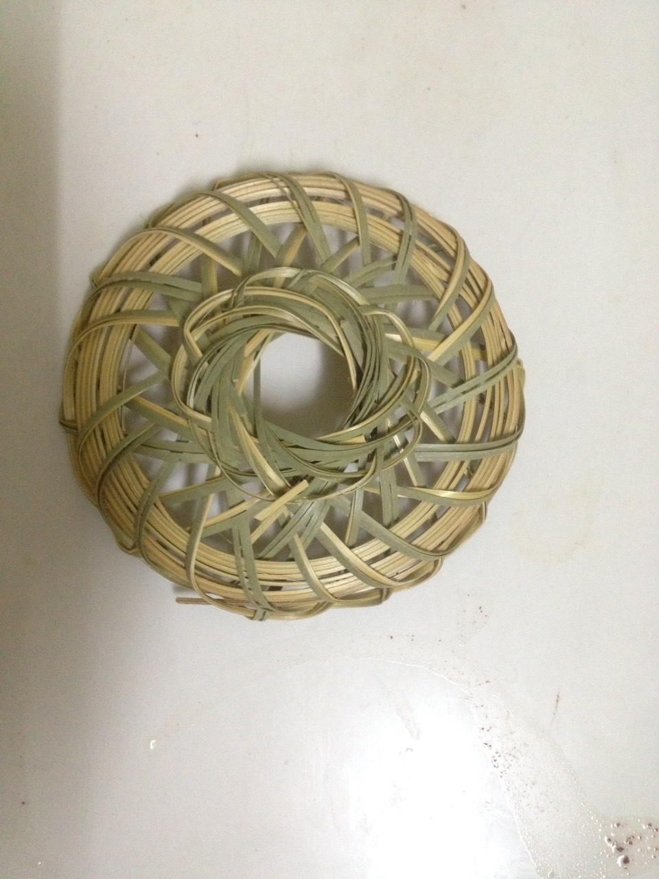 RẾ TRE CHO CHIM cu gáy ĐỨNG